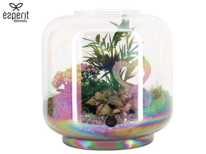 <h4>22027: Lovess arrangement</h4>