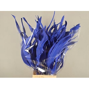 Df Strelitzia Leaf Blue