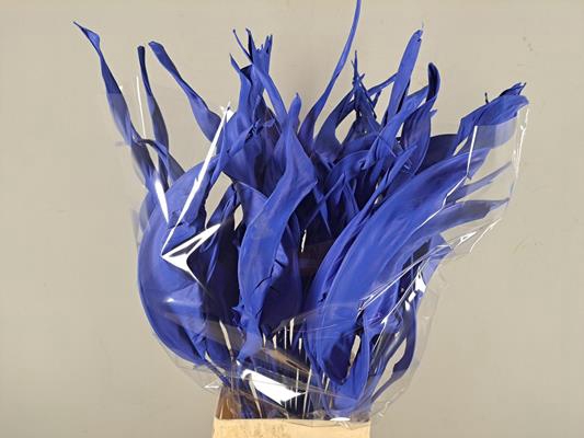 <h4>Df Strelitzia Leaf Blue</h4>