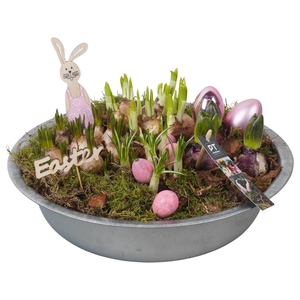 Arr.   Tuinplanten H%