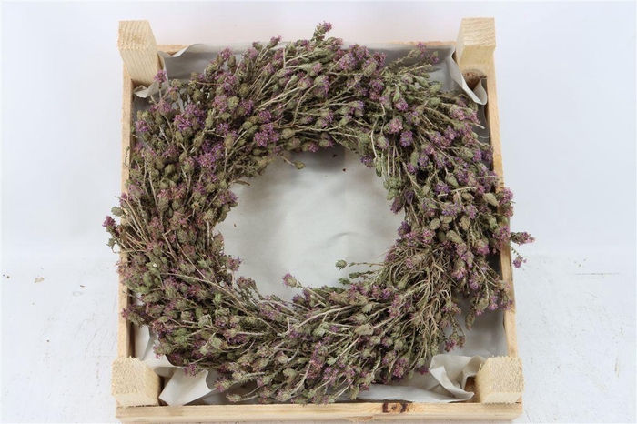<h4>Wr Thym Naturel 30cm</h4>