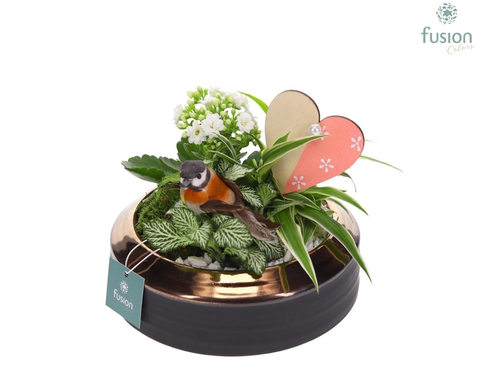 <h4>Lage schaal brons White Love Medium FC22.1206</h4>