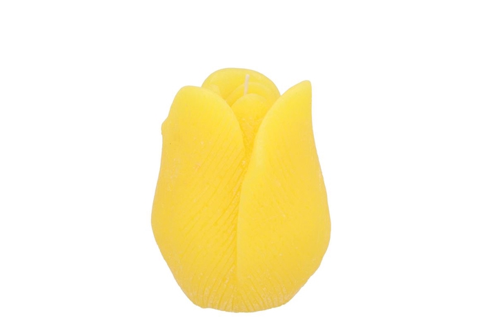 <h4>Candle Tulip Yellow 7x8cm</h4>