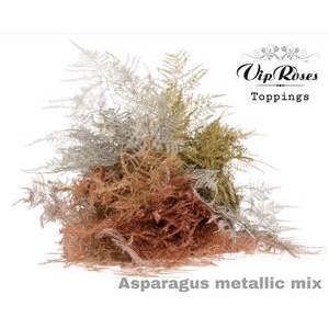 Asp Ov Getopt Lang Xmas Mix Metallic