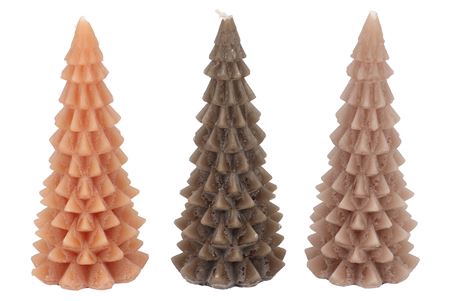 <h4>Z CANDLE FROSTY X-MAS TREE WOODS BROW</h4>