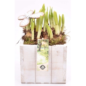 Hout box white wash 10x10cm