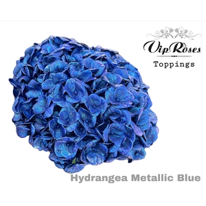 Hydr M Metallic Blue