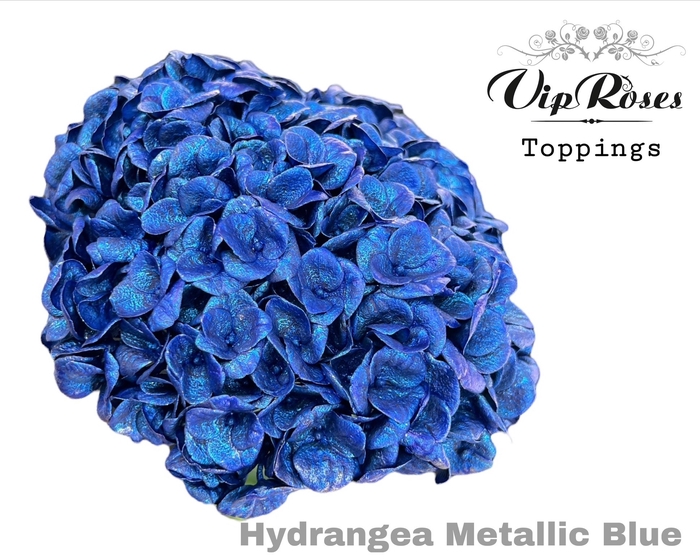 <h4>HYDR M METALLIC BLUE</h4>