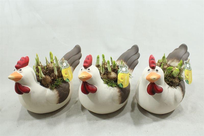 <h4>0480 KIPPIE  TETE</h4>