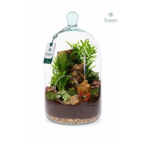 Green Bottle Novella Large met arrangement