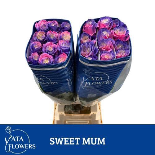 <h4>R Gr Klb H% Sweet Mum</h4>