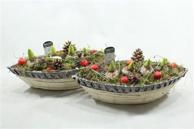 <h4>1105 Titanic HYA</h4>