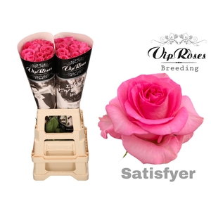 R GR SATISFYER