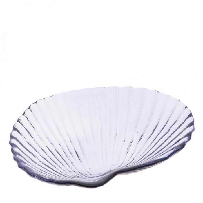 <h4>Maritime Glass shell plate 18*15*3.5cm</h4>