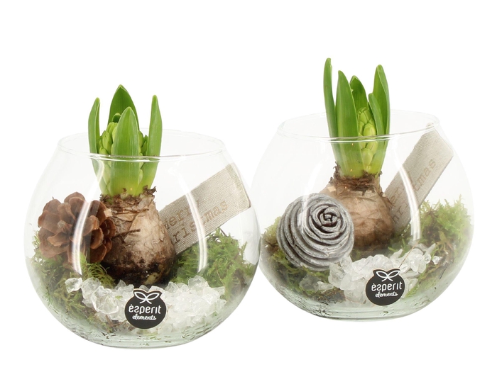 <h4>61683: X-mas arrangement</h4>