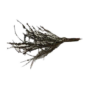 Bundle Larix L100