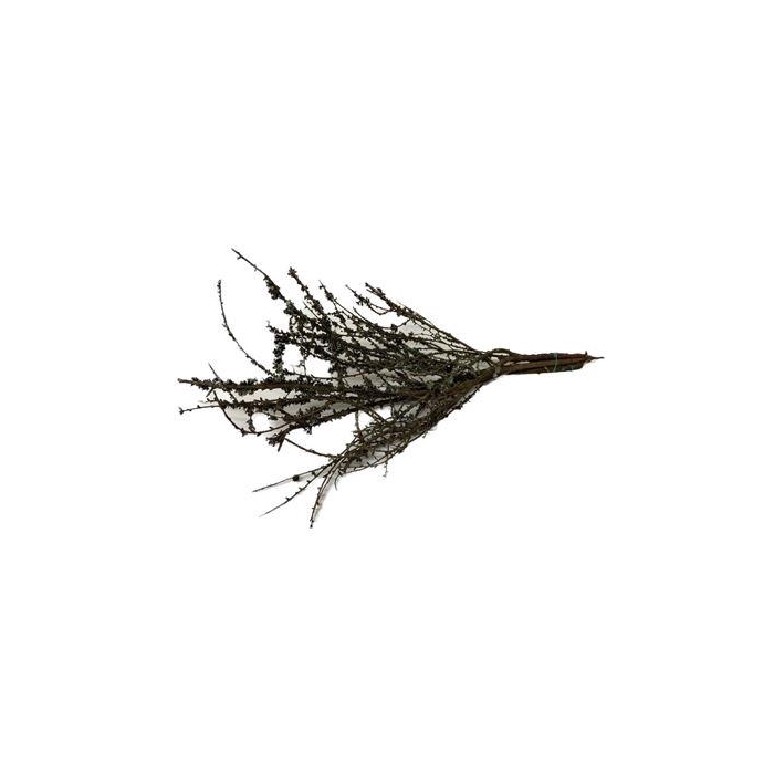<h4>Bundle Larix L100</h4>