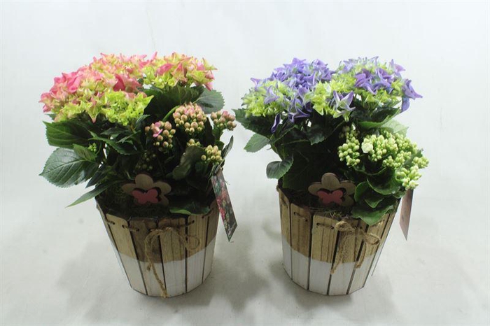 <h4>BU124 HOUT HORT HOOG</h4>