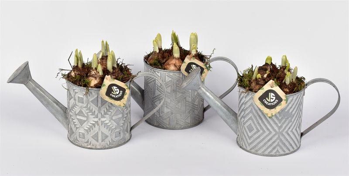 <h4>Zink gieter mix grijs 11cm</h4>