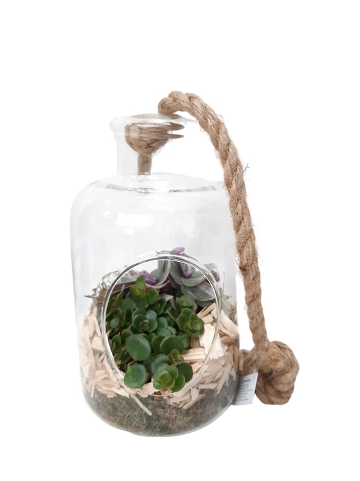 <h4>Arr.   Kamerplant Groen L%</h4>