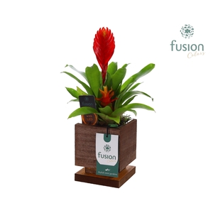 The Green Lighting Garden LED Small met Bromelia