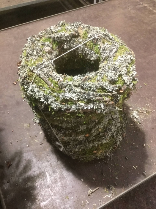 <h4>Krans Wr.larix</h4>