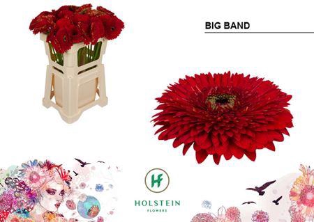 <h4>Ge Gr Pom Big Band</h4>
