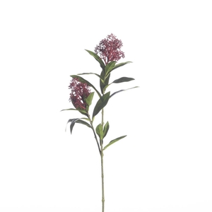 AF Skimmia L70cm red