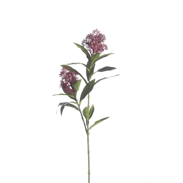 <h4>AF Skimmia L70cm red</h4>