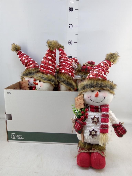 <h4>Decoratie  ..Sneeuwman H%</h4>