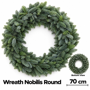 ABIES NOBILIS BLAUW