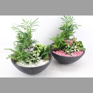 arr2 PL - Ebbischaal L - roze/wit