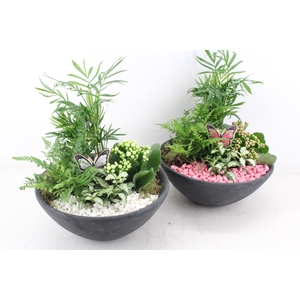 arr2 PL - Ebbischaal L - roze/wit