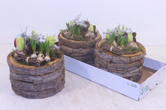 <h4>ARR BOL KNOLGEWAS</h4>