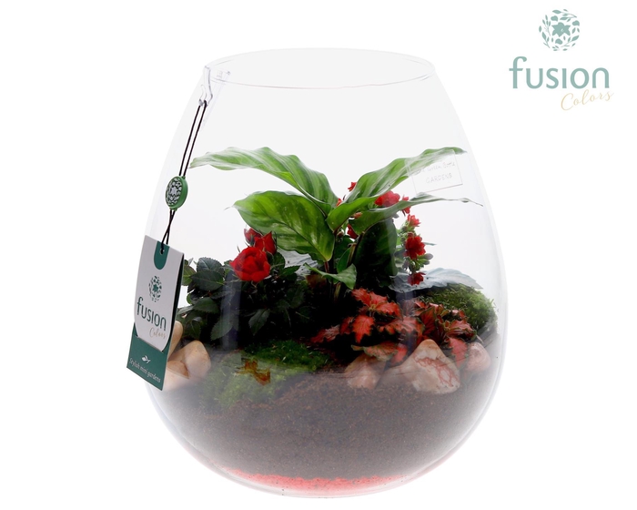 <h4>Green Bottle Abby Large met arrangement groene planten 4pp</h4>