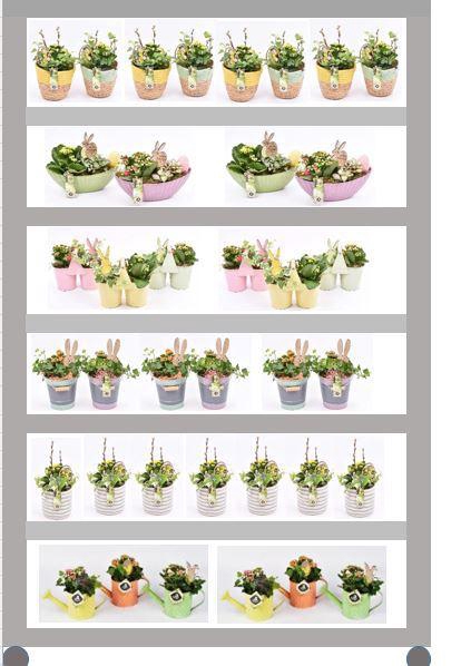 <h4>Mix CC Pasen Indoor</h4>