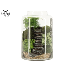 90632: Landscape arrangement