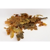 Bunch Fagus Pres 75g  L80