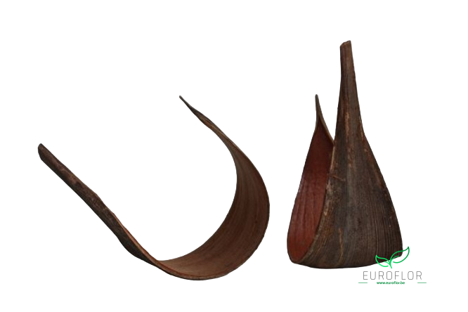 GALERO COCO MEDIUM NATUREL 10pcs