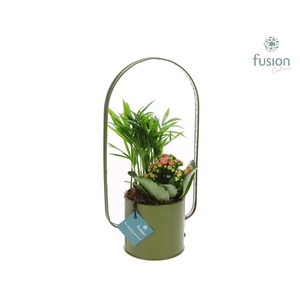 Zinken planter met LED verlichting en Arrangement