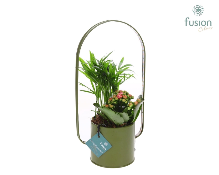 <h4>Zinken planter met LED verlichting en Arrangement</h4>