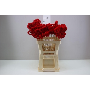 Hartje Op Stok Rood Fluweel Stof 12cm