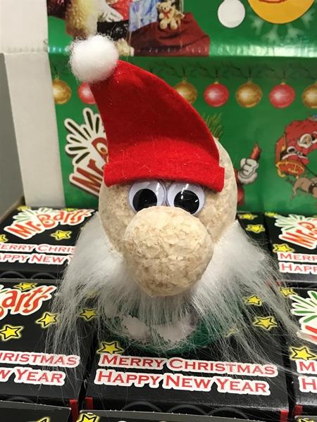 <h4>Mr. Bart Kerst</h4>