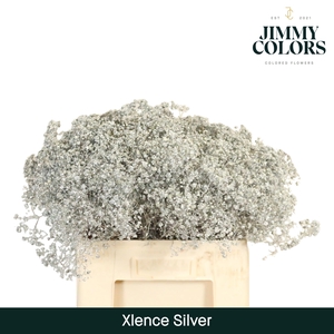 Gyps Xlence L60 Mtlc. Silver