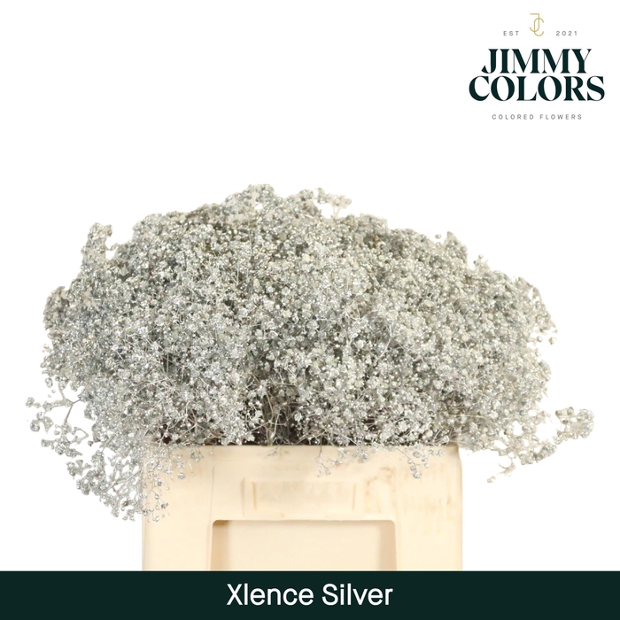 <h4>Gyps xlence L60 Mtlc. Silver</h4>