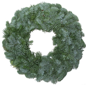 KRANS NOBILIS 30CM HALF ROND