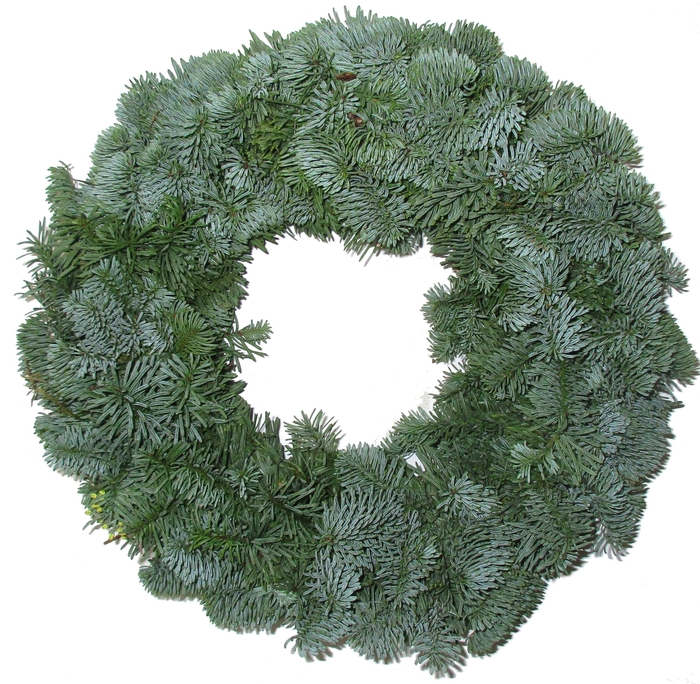 <h4>KRANS NOBILIS 30CM HALF ROND</h4>