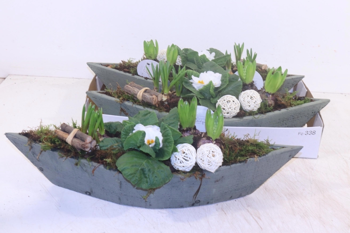 <h4>Arr Pl In Schaal</h4>