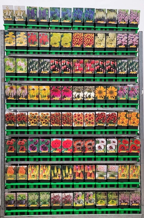 <h4>Vaste planten mixkar</h4>