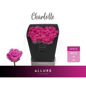 R GR CHARLOTTE ALLURE